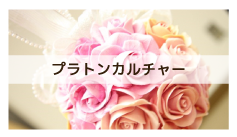 プラトンカルチャー
