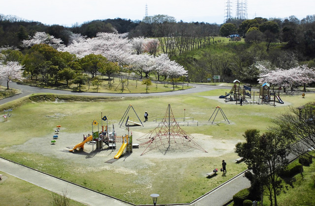 南部丘陵公園